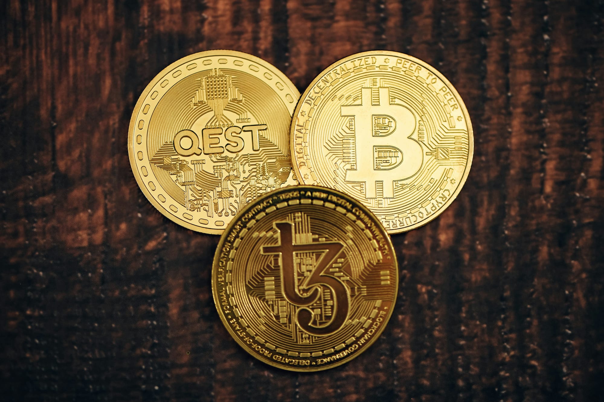 Bitcoin the big winner of 2024