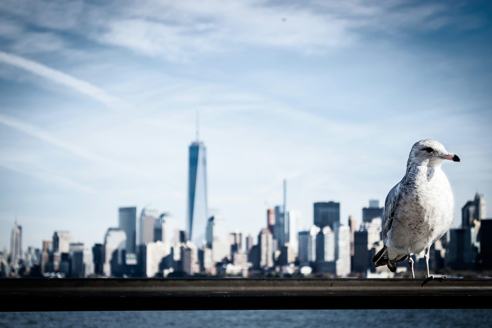 Wall St on track for double-digit June qtr gain