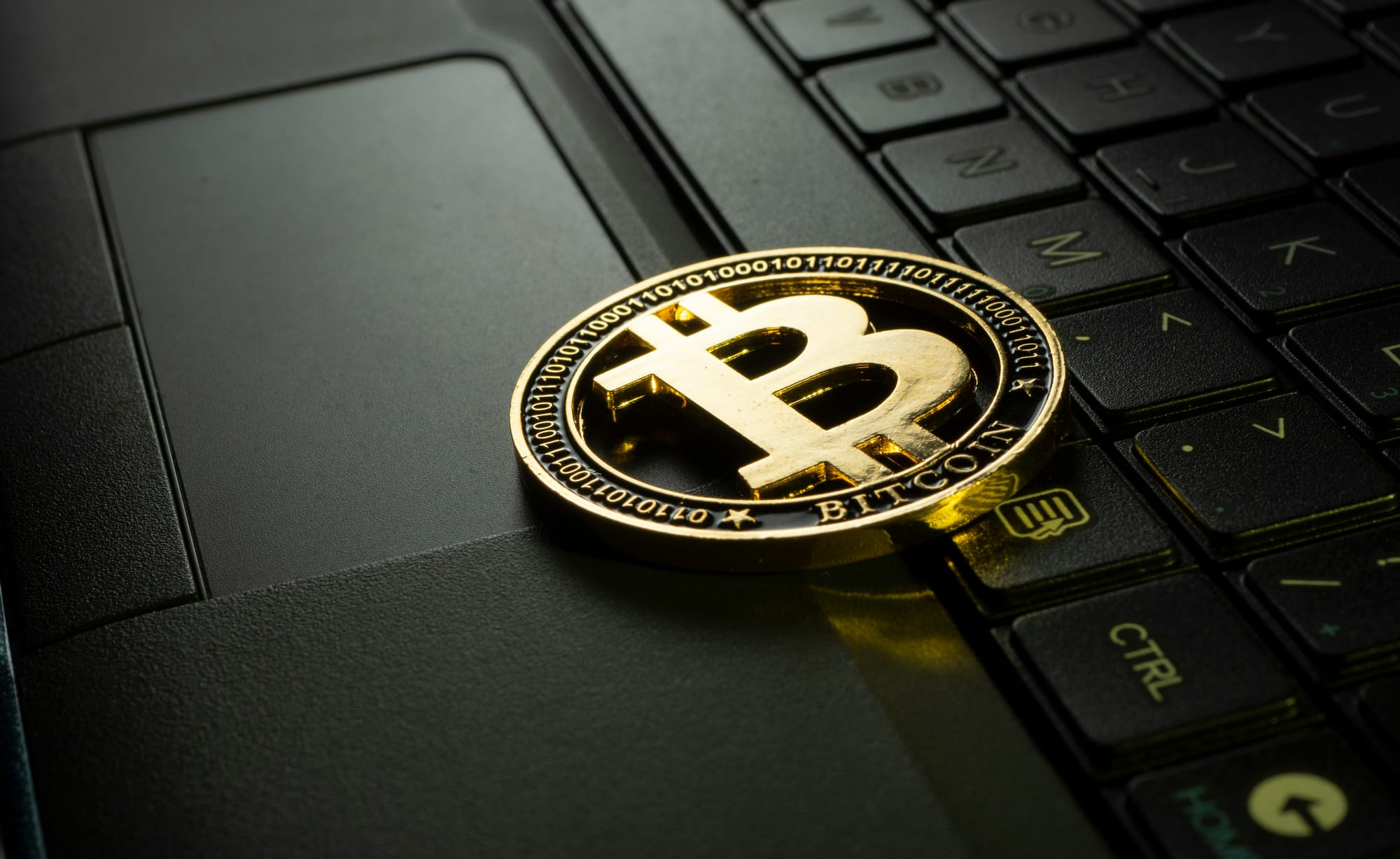 Sharesies eyes crypto; Wall St slips as earnings season continues