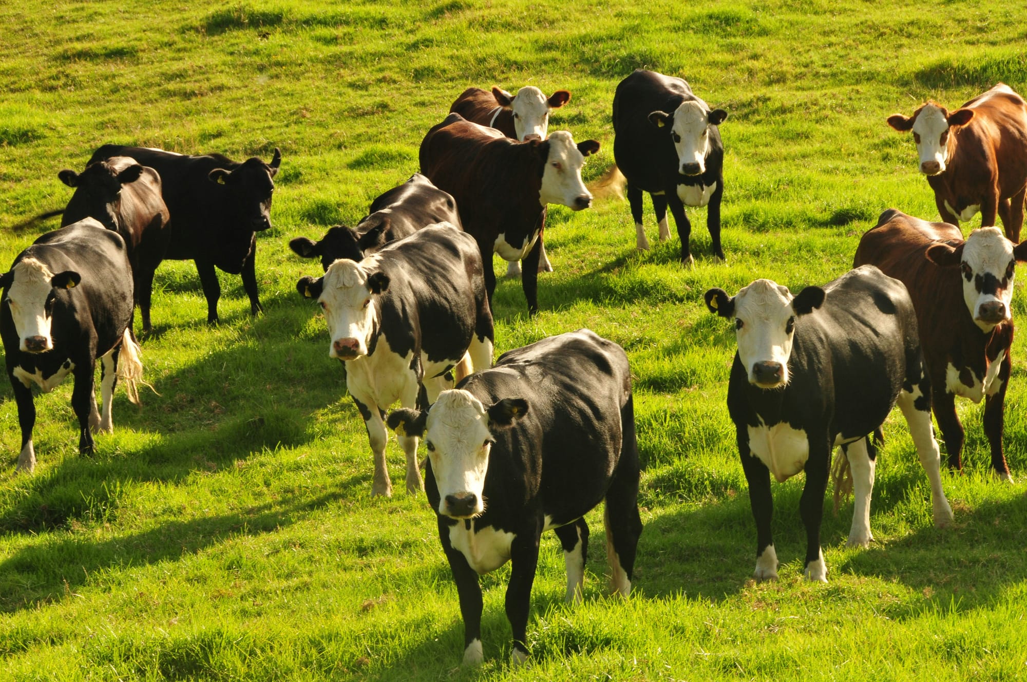 Rural Equities takeover shows good things take time