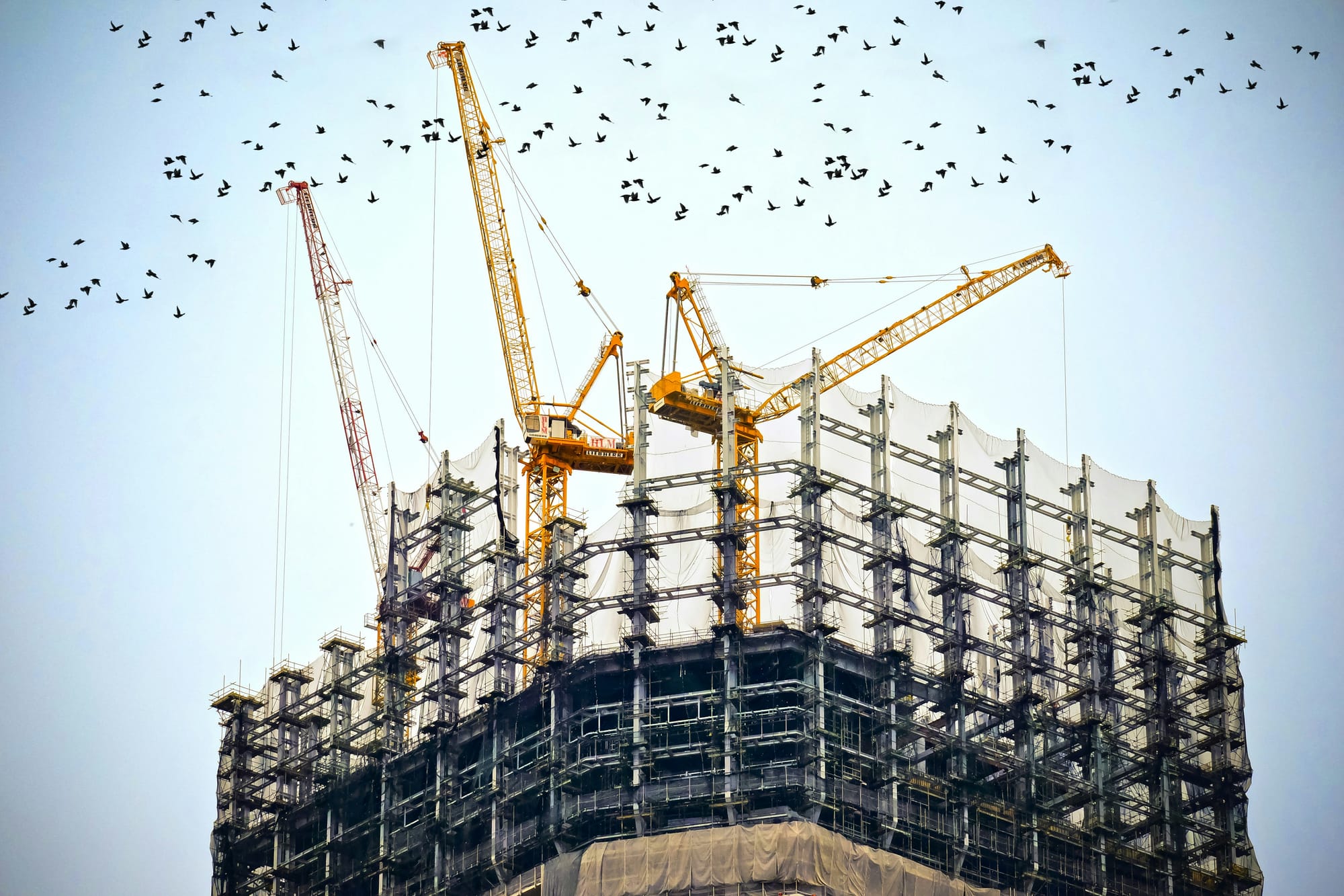 Retail investors coming around to Fletcher Building