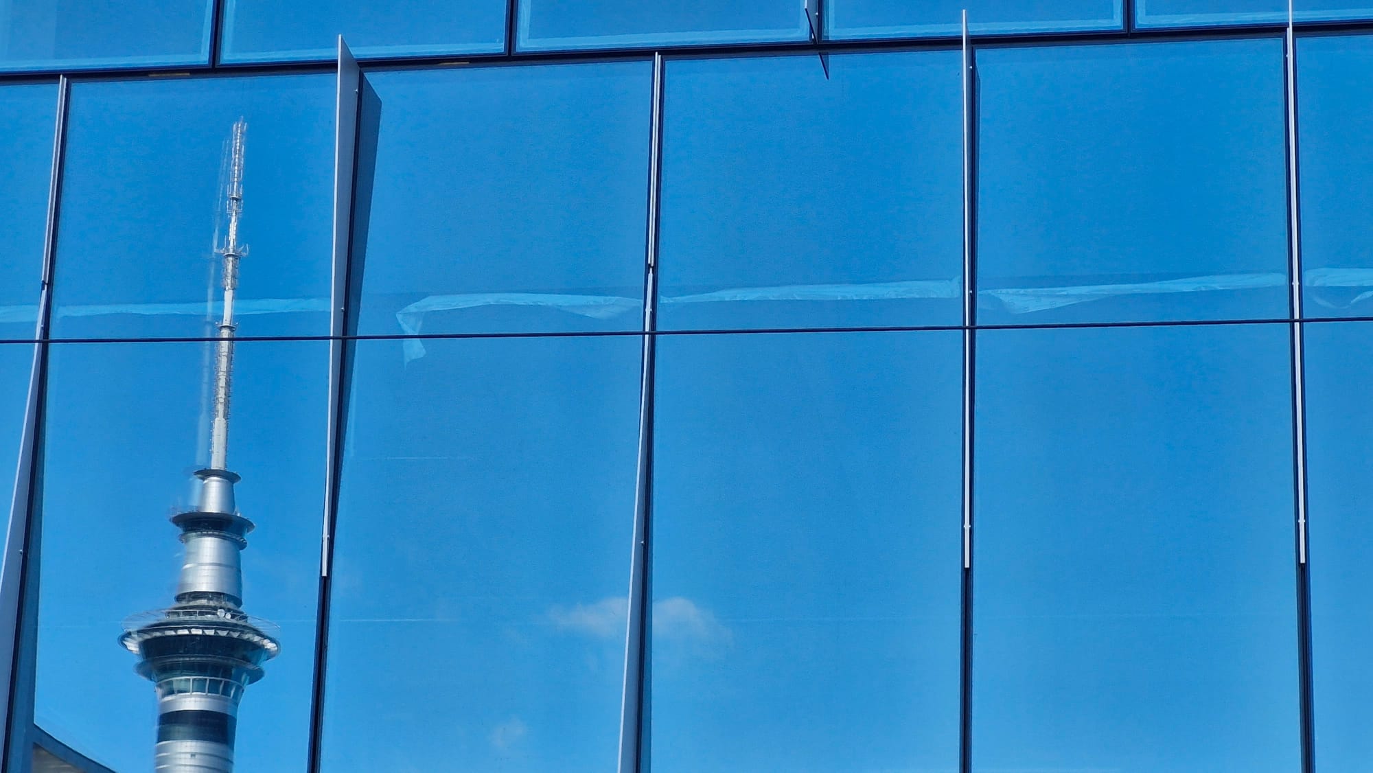 NZX50 continues to recover from exaggerated selloff