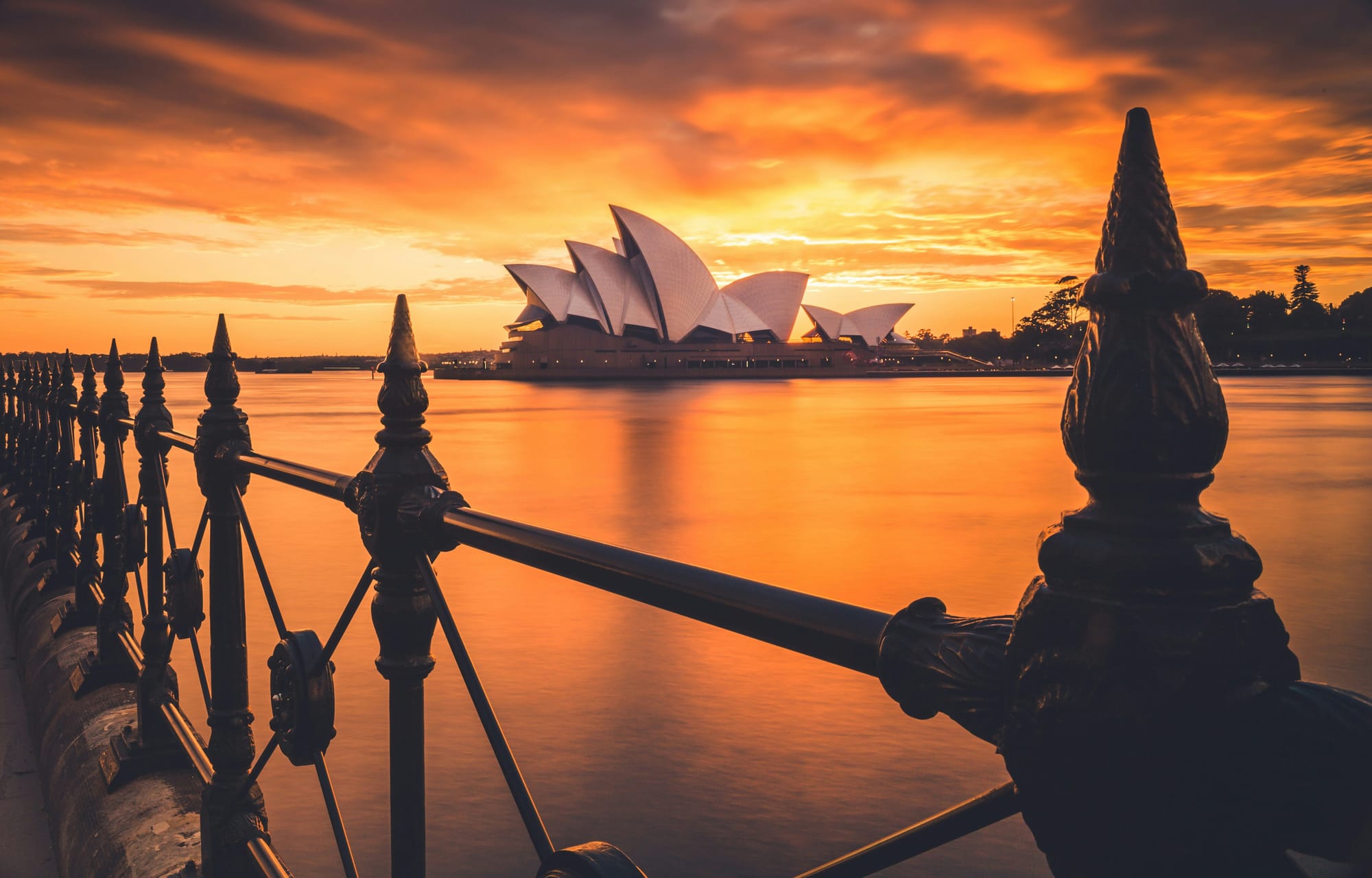 Infratil, F&P, a2 attracting Aussie attention