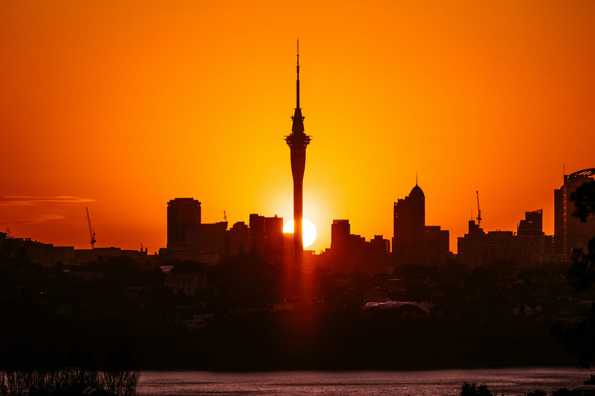 Hallenstein’s healthy rag trade leads NZX50 higher; Grenon nabs more of NZME
