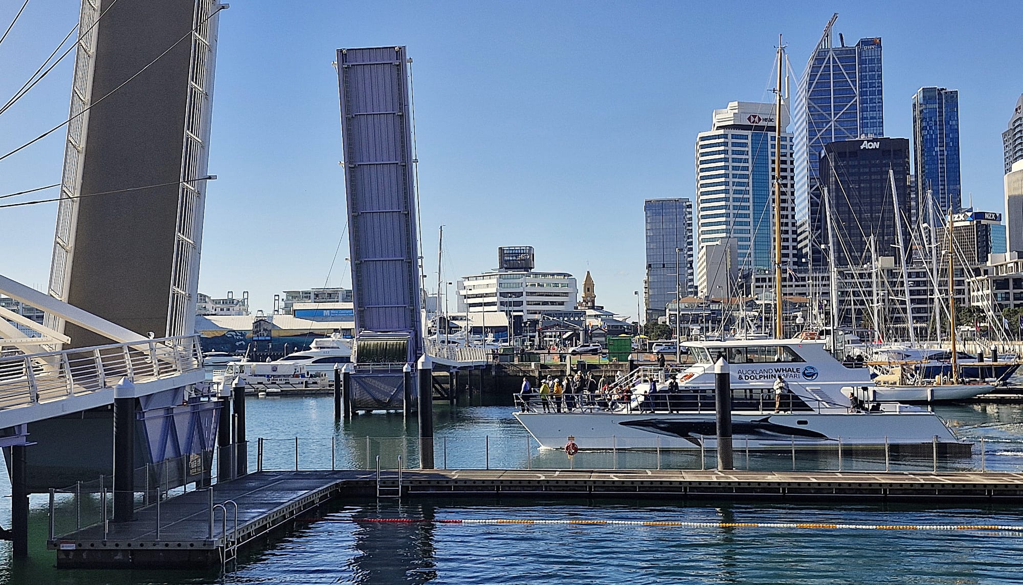 NZX50 sinks as stalled economy paves way for steeper rate cut