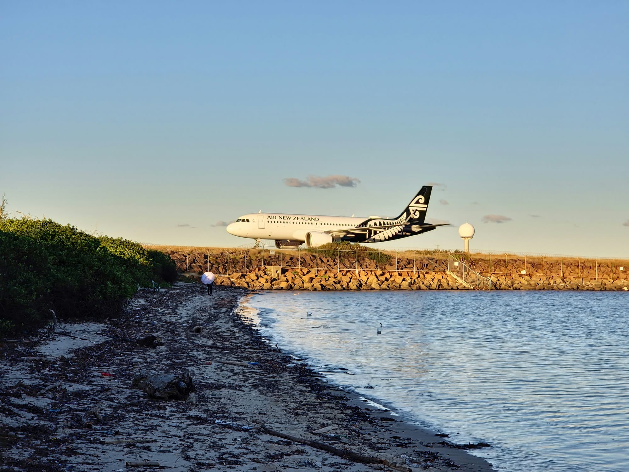 Sharesies brigade souring on Air NZ in turbulent winds
