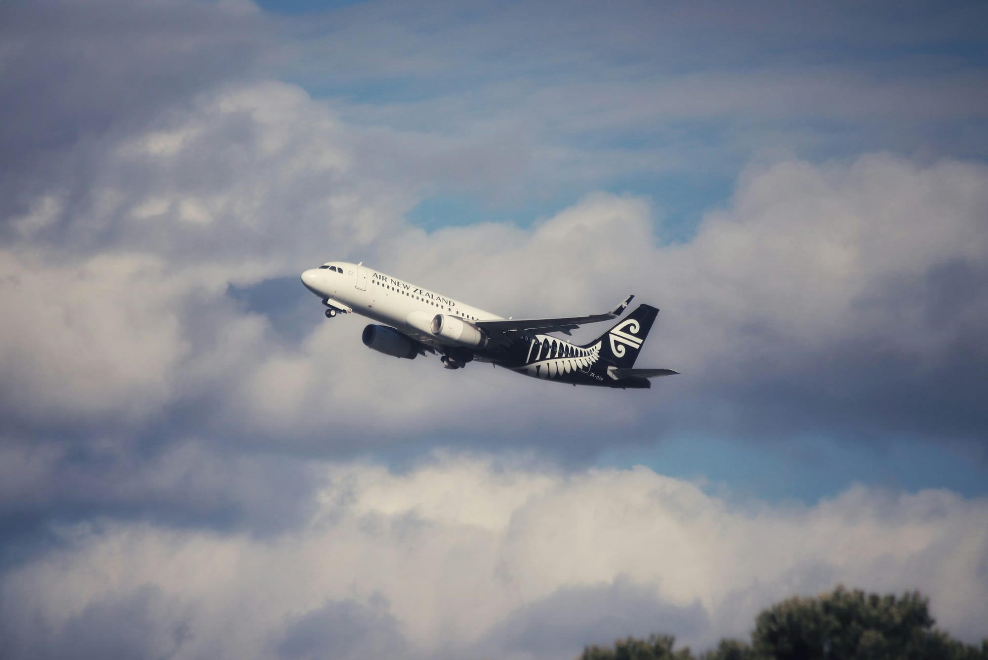 Air NZ hits new lows, leading NZX50 to worst week since September 2024