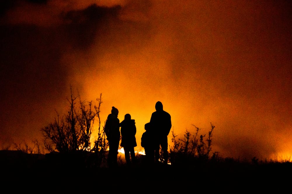 NZ insurers might escape heating reinsurance post image