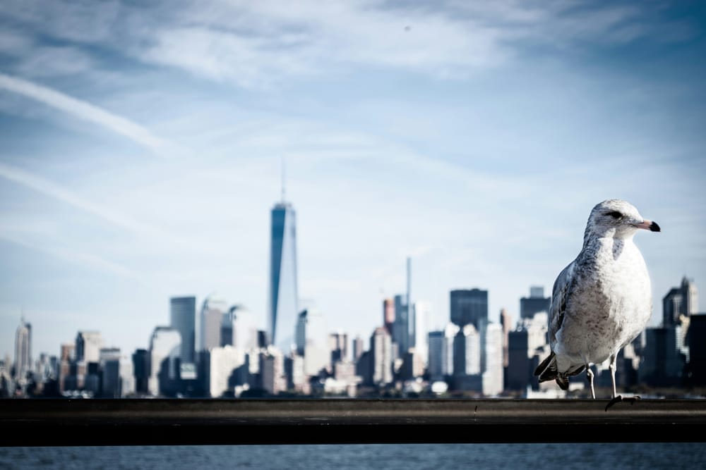 Wall St on track for double-digit June qtr gain post image