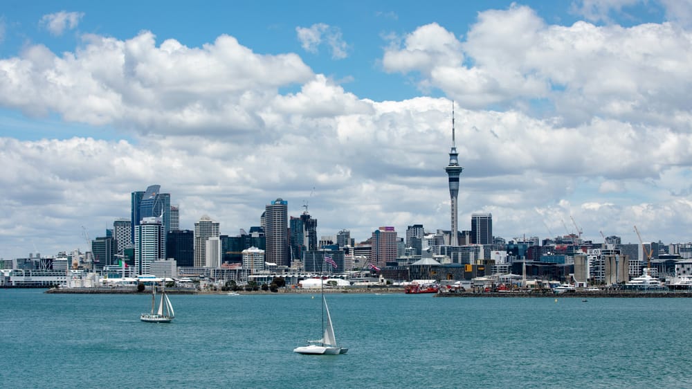 F&P Healthcare catches up as NZX50 rallies; Fonterra eyes ruling post image