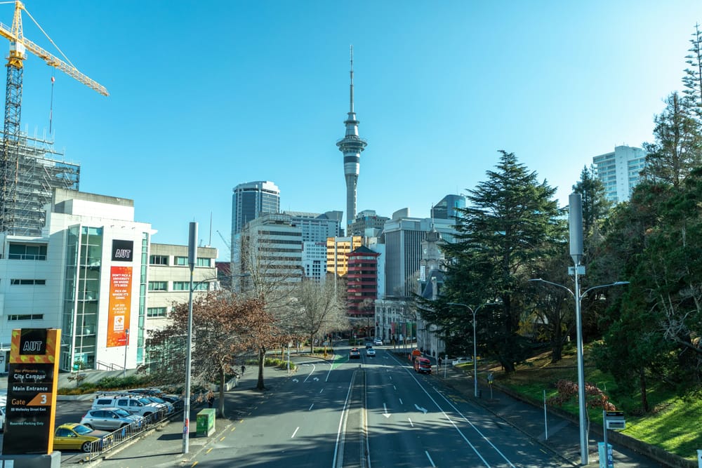 NZX50 bounces back in broad-based rally post image