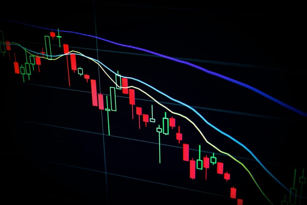 NZ shares gain as earnings season ends on a bright note post image
