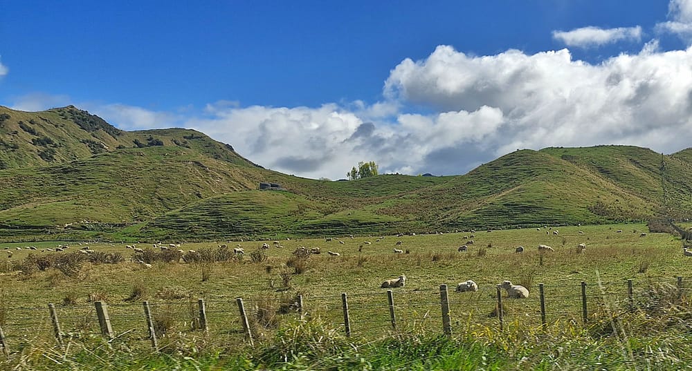 PAUL MCBETH: Wrightson board served a very cold dish post image