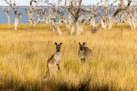RBA’s rate track in view as Wall St slides post image