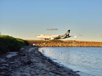 Sharesies brigade souring on Air NZ in turbulent winds post image