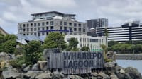 PAUL MCBETH: The stiff upper lip of the NZX50 post image