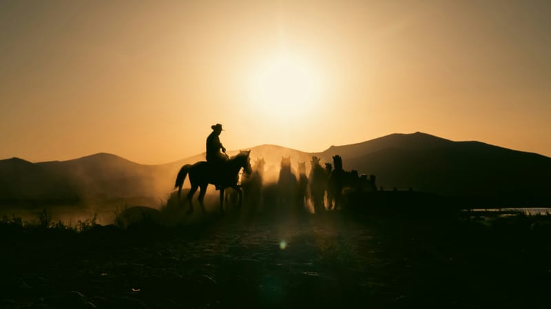 Magnificent 7 rides again as Trump pause spurs Wall Street rally post image