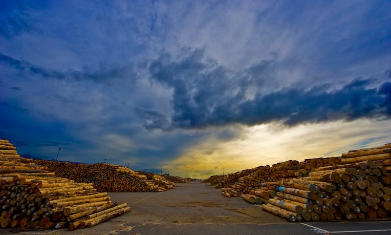 Marsden Maritime deal an ‘elegant solution’ post image