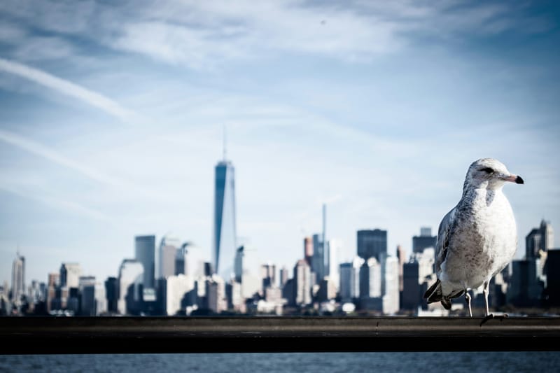 Wall St on track for double-digit June qtr gain post image