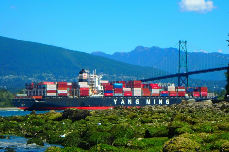 Thaw in US-China cold trade war spurs global rally post image