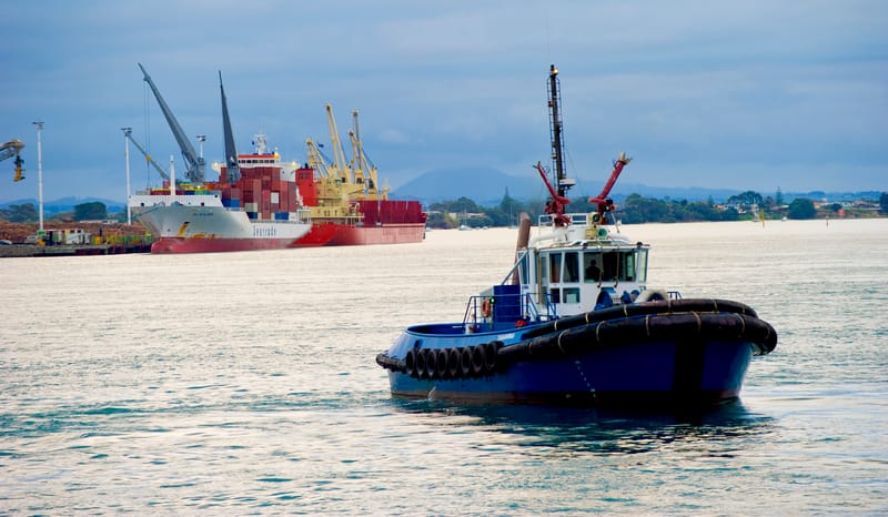 Marsden Maritime deal at upper end of valuer’s range post image