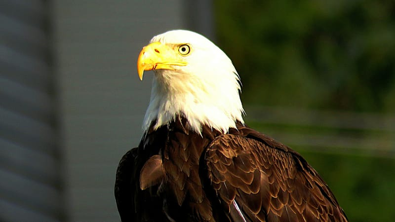 US Liberation Day keeps investors on edge; NZX50 nudges higher post image