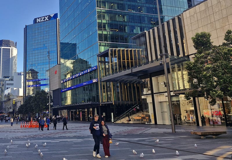 NZX50 breaks into positive territory for 2025; Skellerup keeps breaking records post image